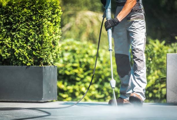 Best Pool Deck Cleaning  in Rson, CA