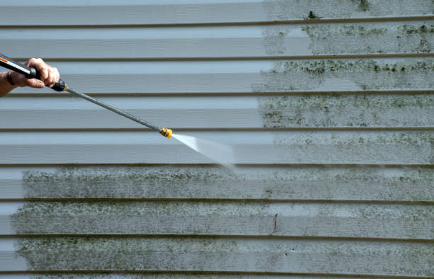 Best Fence Cleaning  in Rson, CA